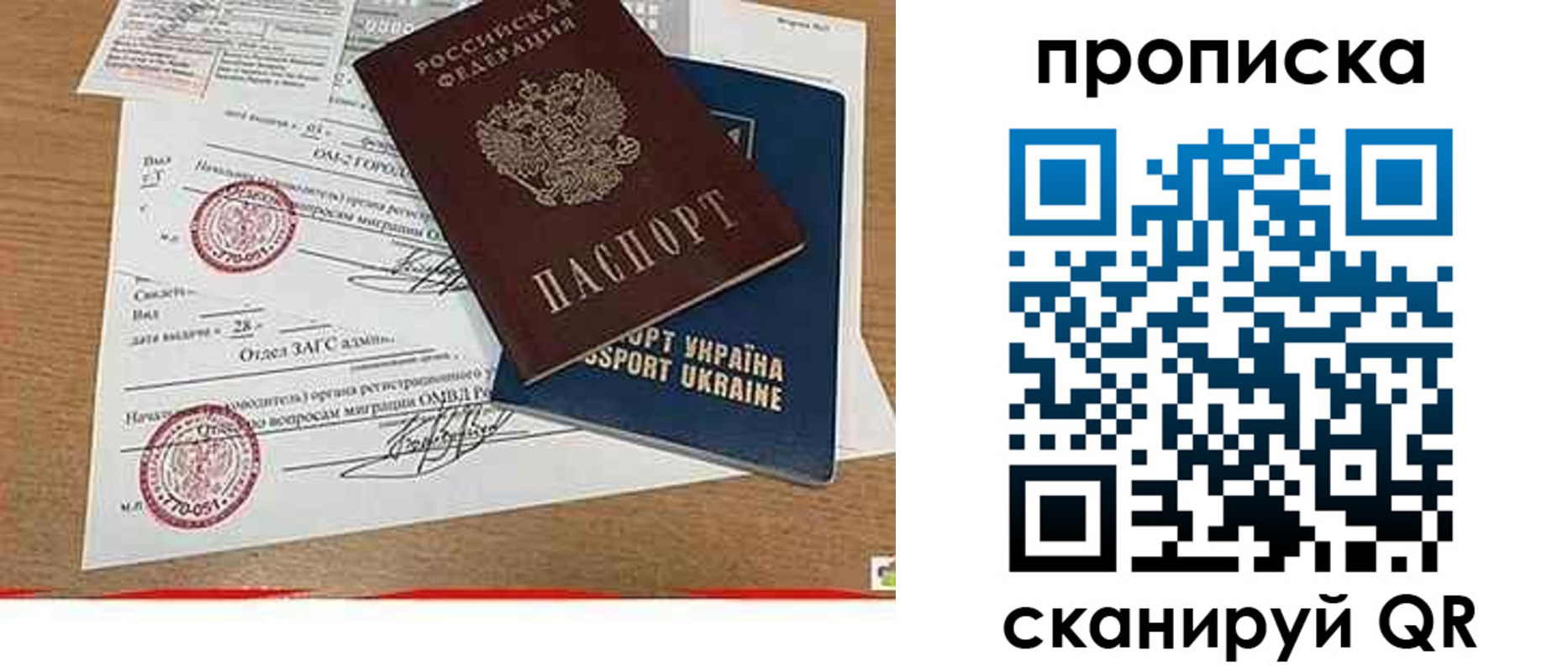 прописка ребенка в Фрязино
